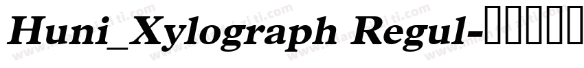 Huni_Xylograph Regul字体转换
